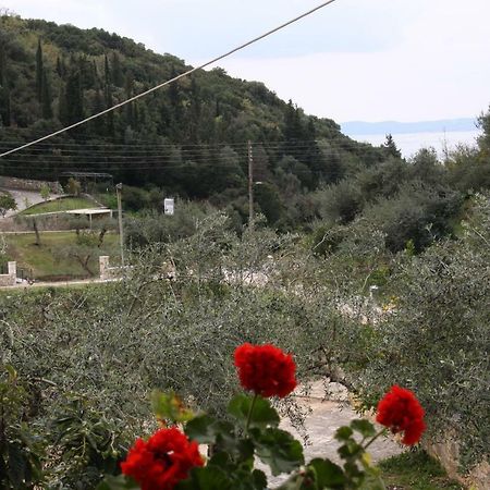 Katerina Rooms Sívota Dış mekan fotoğraf