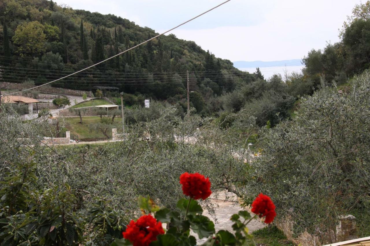 Katerina Rooms Sívota Dış mekan fotoğraf